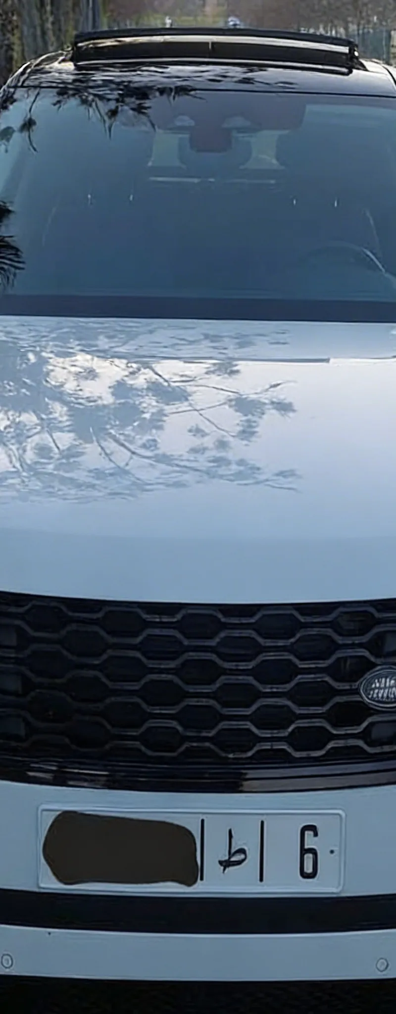 LAND ROVER Range Rover Velar 2022 Diesel MHEV Occasion Rabat Maroc