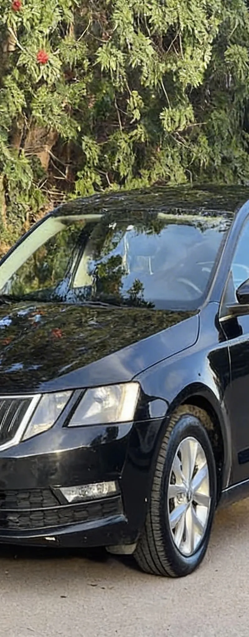 SKODA Octavia 2017 Diesel Occasion Rabat Maroc