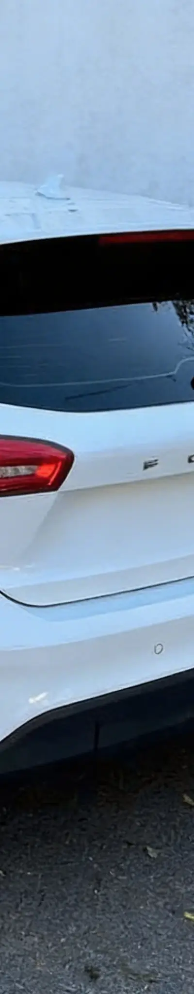 FORD Focus 2019 Diesel Occasion Sefrou Maroc