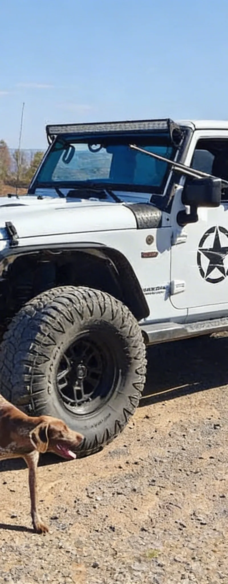 JEEP Wrangler 2017 Diesel Occasion Rabat Maroc