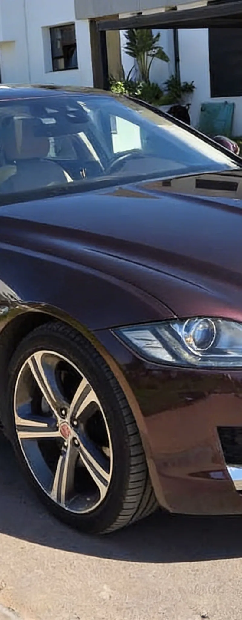 JAGUAR XF 2018 Diesel Occasion Casablanca Maroc