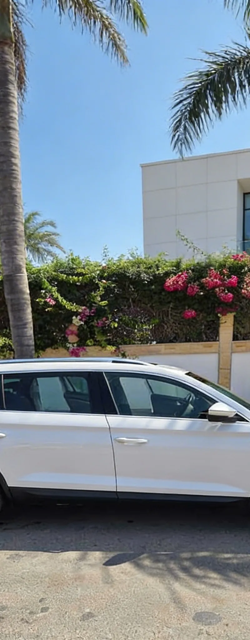 SKODA Kodiaq 2019 Diesel Occasion Rabat Maroc