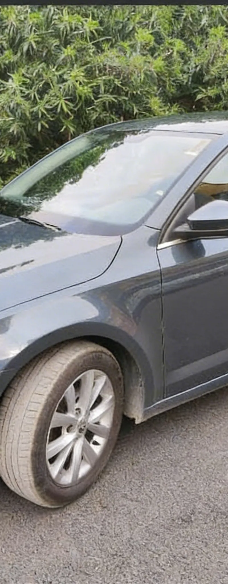 SKODA Octavia 2018 Diesel Occasion Mohammadia Maroc