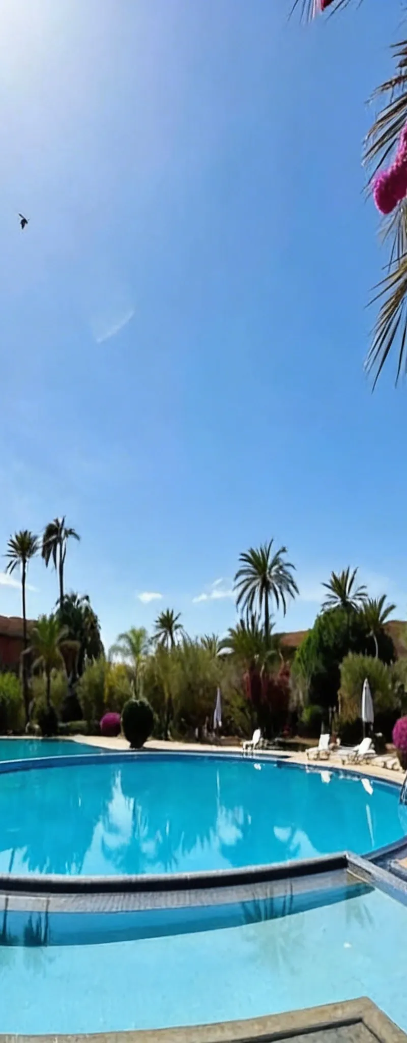 Appartement Rez de jardin à vendre palmeraie