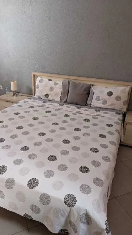 appartement meublée à louer centre ville