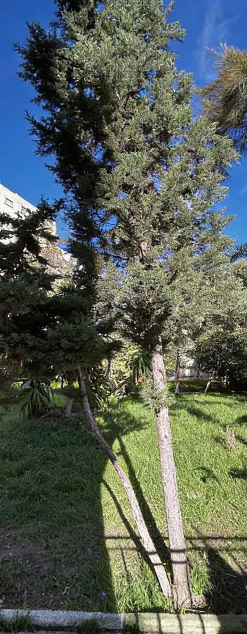 À vendre – Appartement 84 m² dans la résidence فن البيت العتيق – Tanger