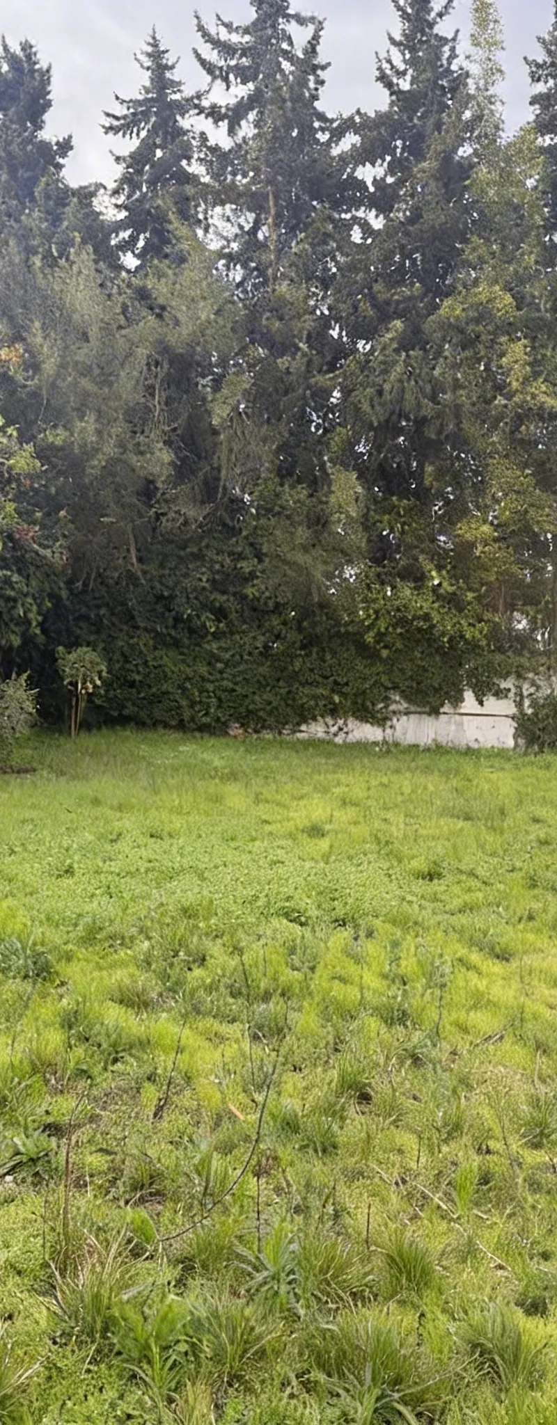 Villa Commerciale à Vendre  Souissi