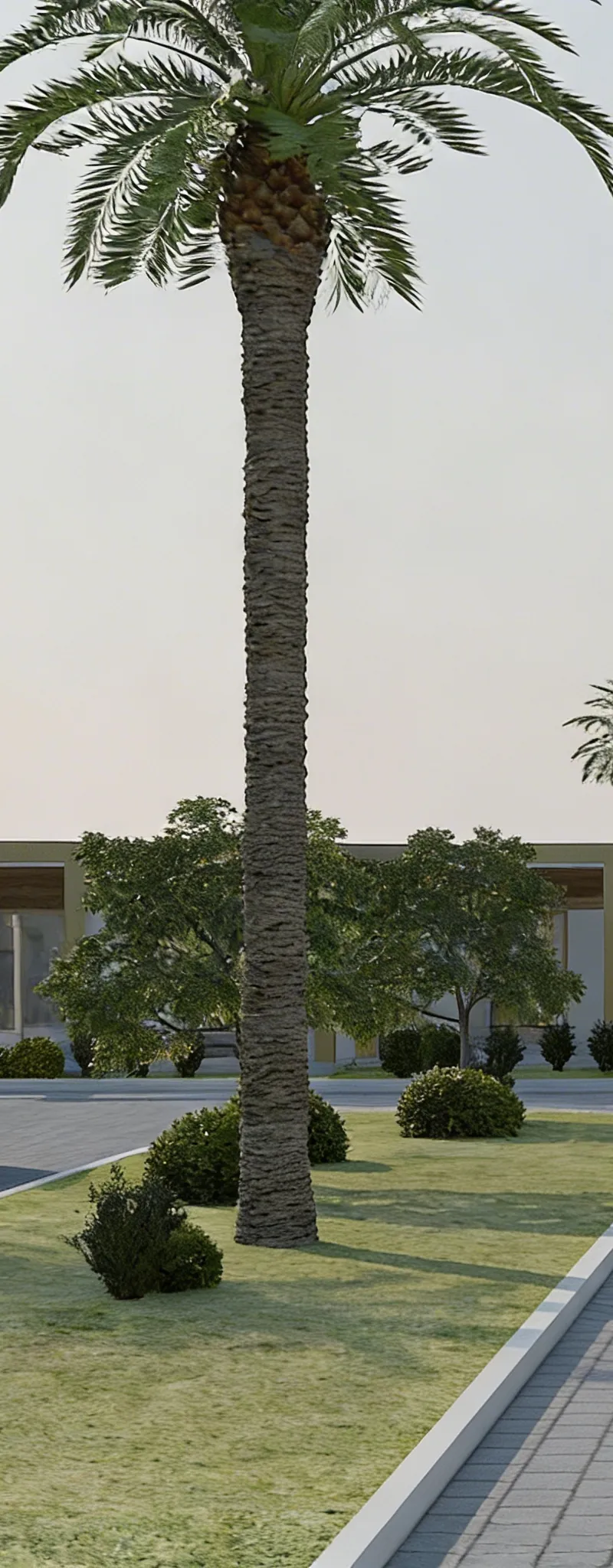Villas  298 m² Palm Lagoon