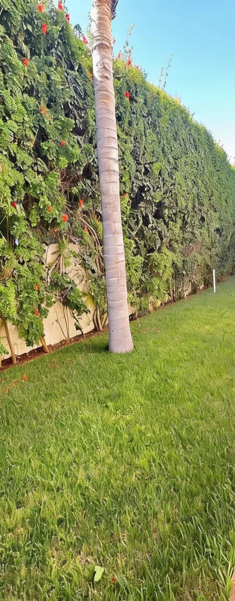 VENTE LOT TERRAIN VILLA 345 M2 A RIAD KENITRA SS