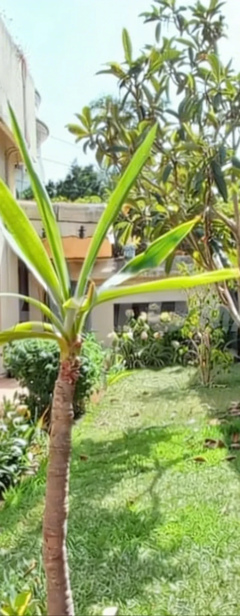 Villa de Charme 520 m² - Opportunité