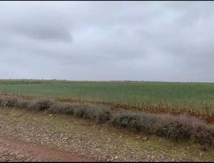 Terrain a vendre