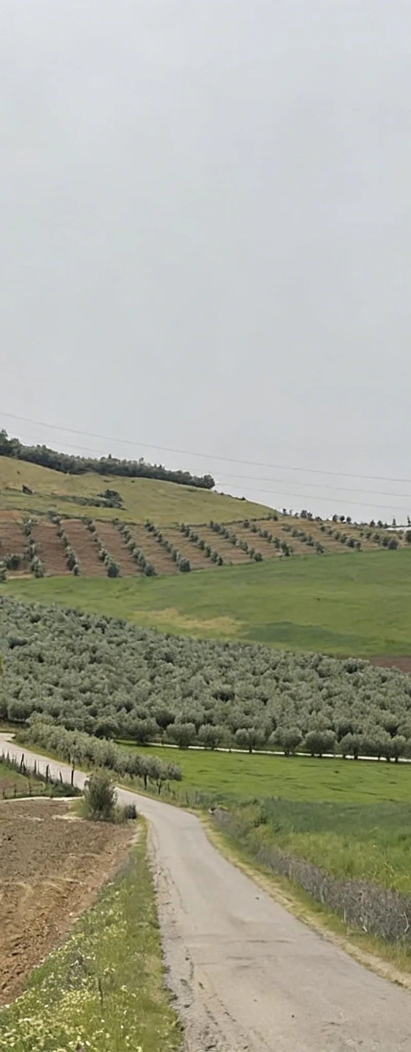 Ferme 16 ha avec maison près de Meknès 20 km