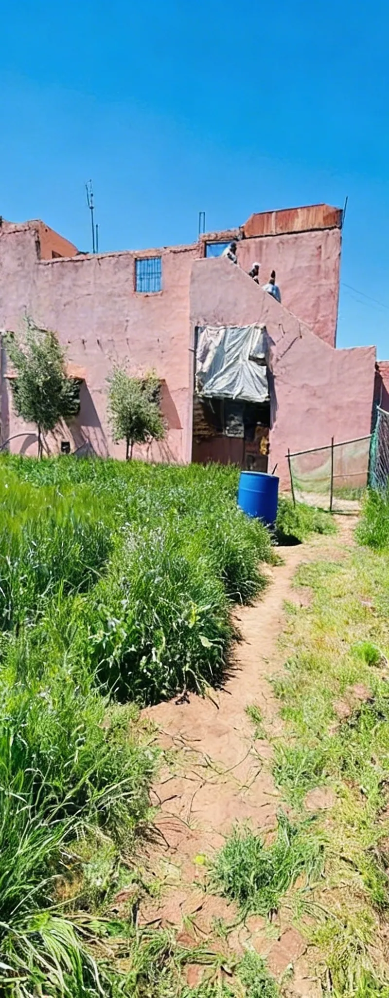 Hectare à vendre avec maison et puits
