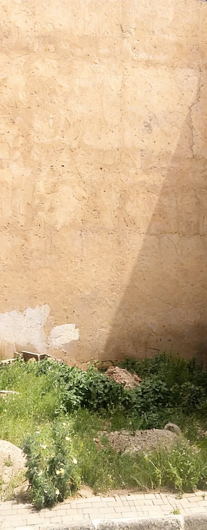 Terrain 100m hay lazari oujda