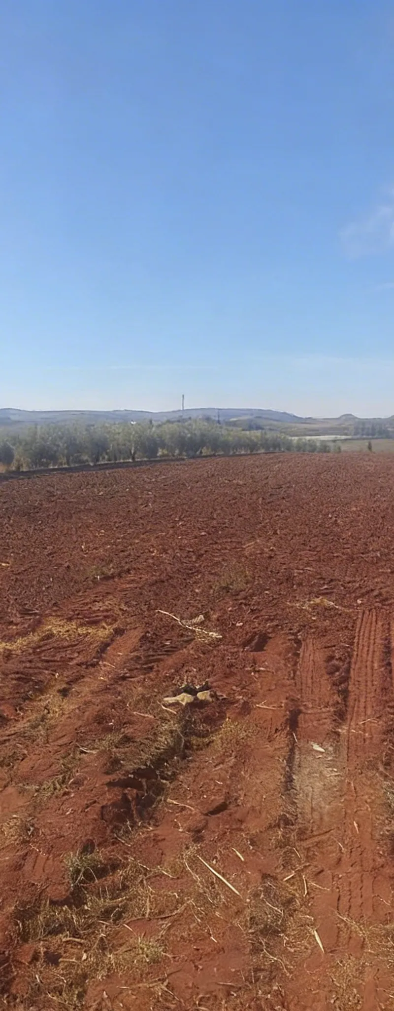 4 hectares sur route à 20 min de Meknès