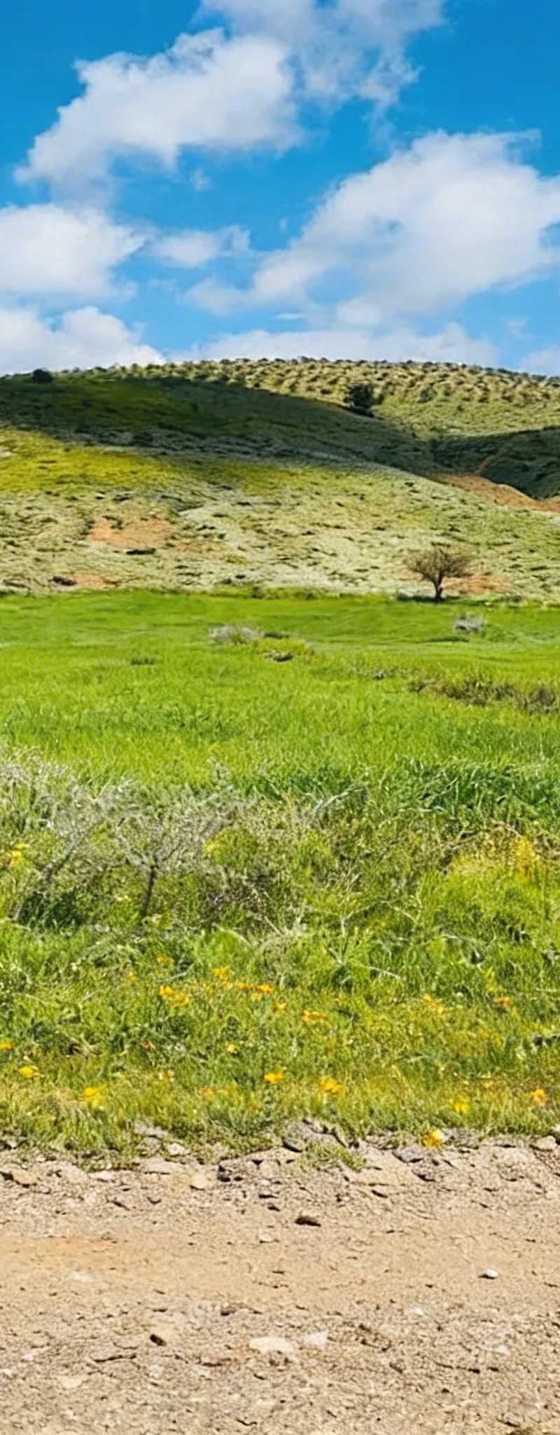 Hectare et demi sur route à 48 millions, bonne affaire