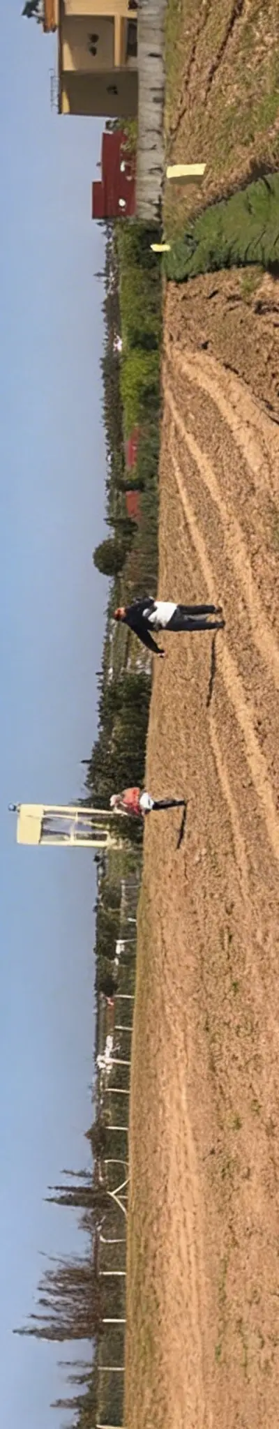 Terrain agricole Titré avec Puit et Électricité
