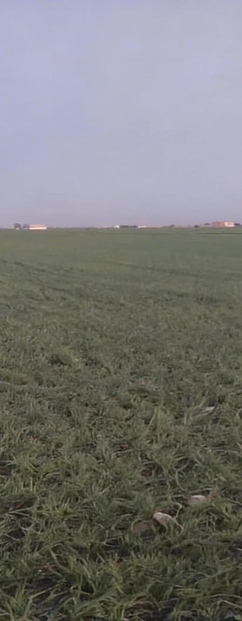 Terrain agricole 2 ha Berrechid