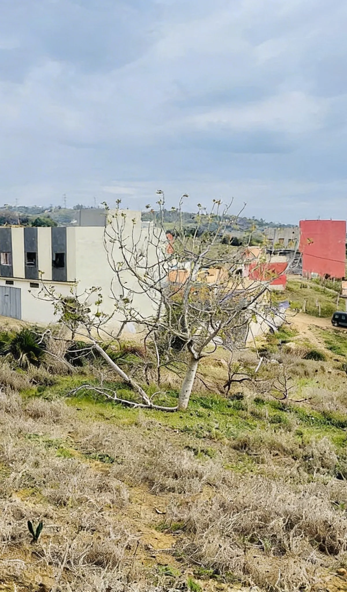 Excellente parcelle de terrain - 165000 DH - Tanger | Daba Annonce