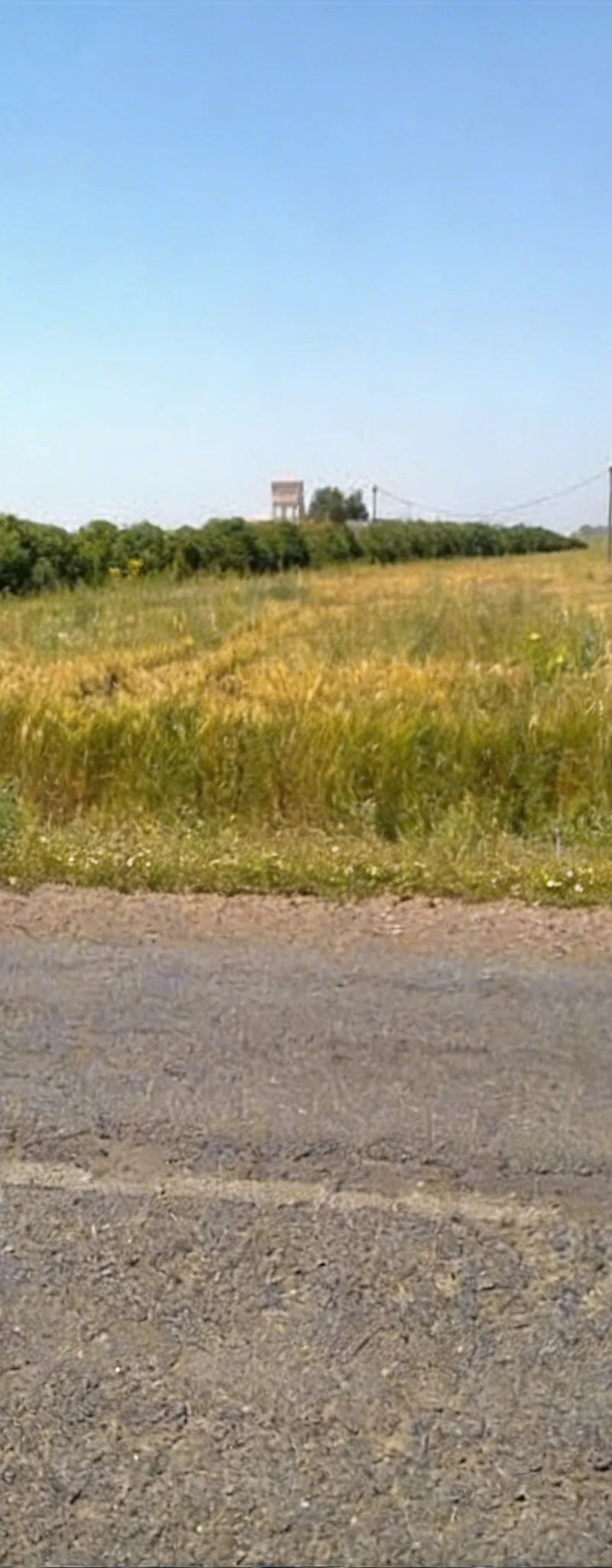 2 hectares à route de sidi rahal