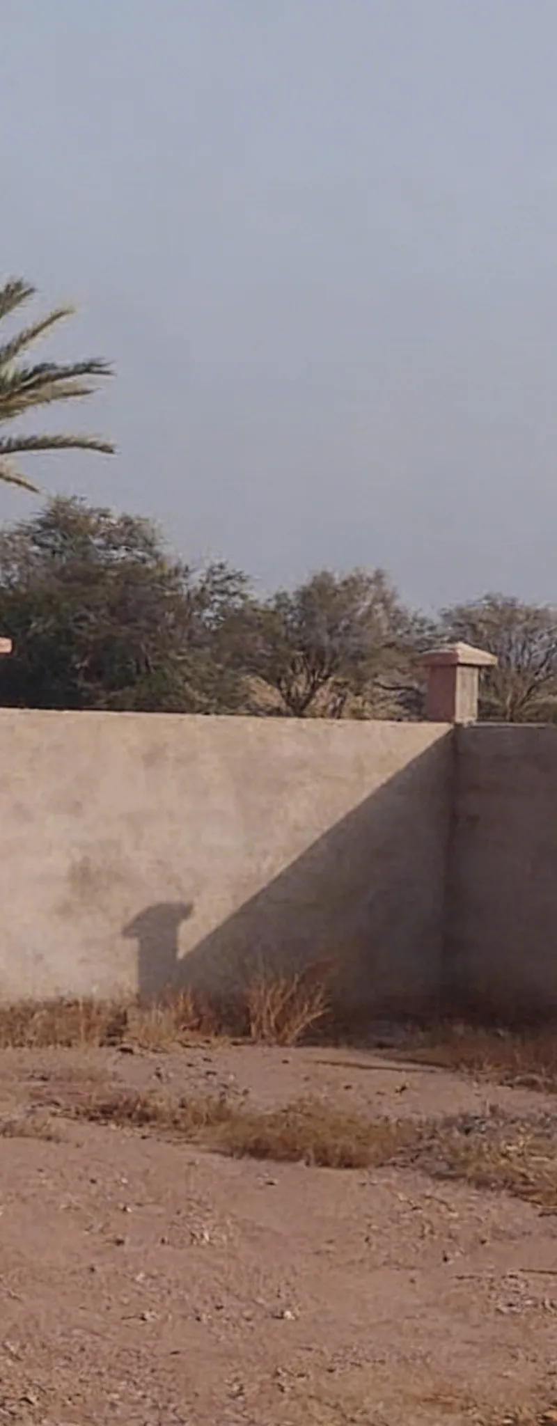 Terrain Villa 16km Marrakech bonne affaire