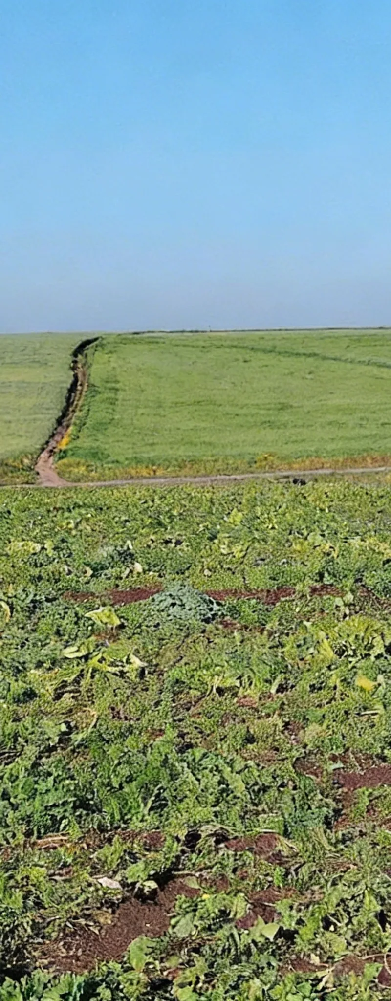 3.55 ha titré avec puits traditionnel