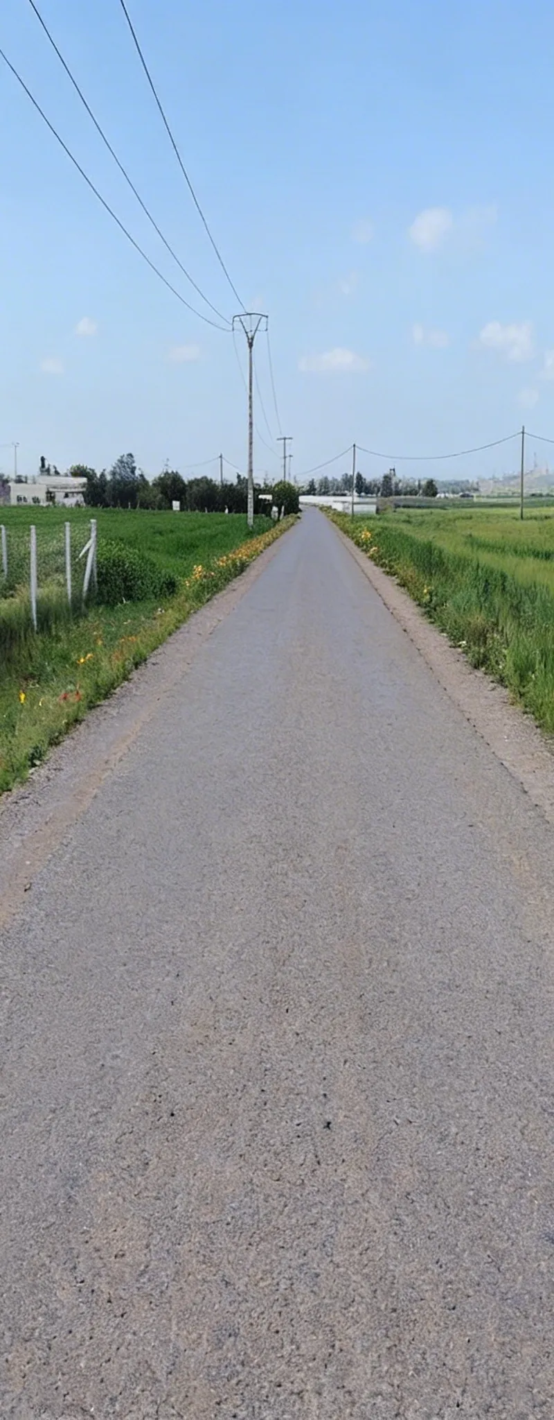 1.08 ha titré sur la route goudronnée