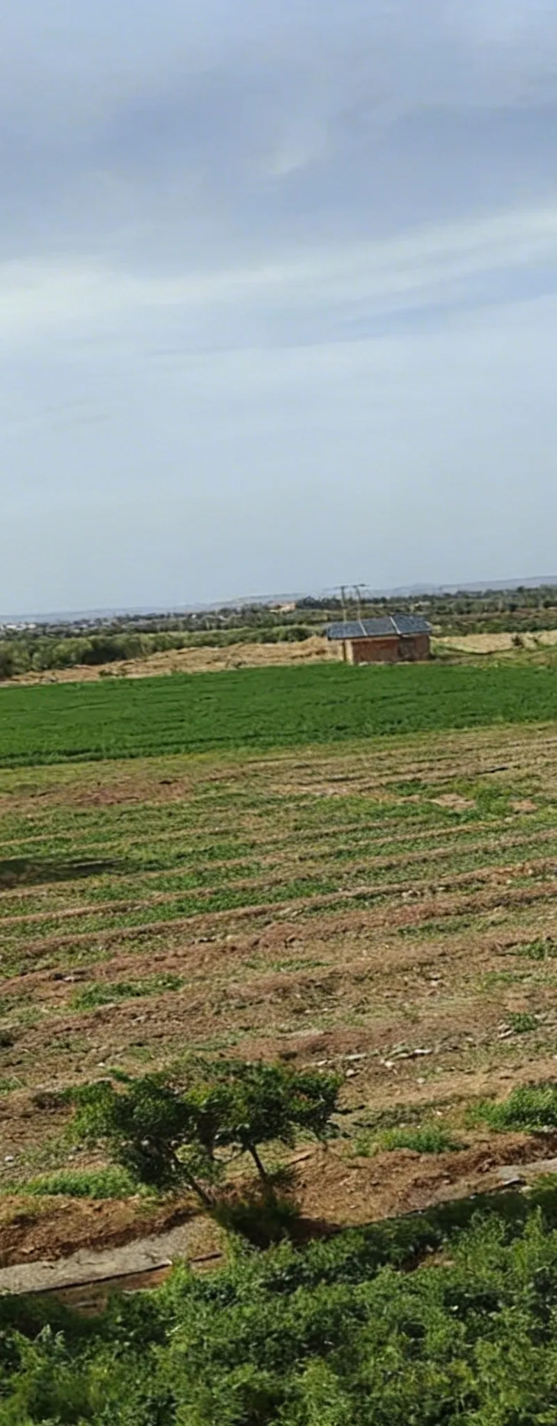 Ferme à vendre à Nakhlil Oujda avec Maison équipée
