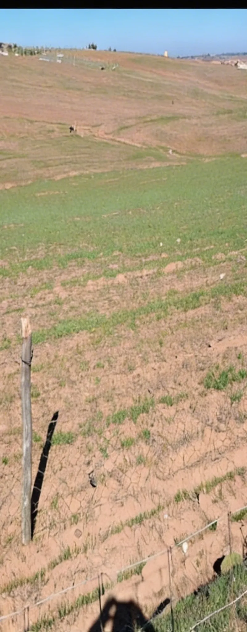 Terrain agricole Shoul