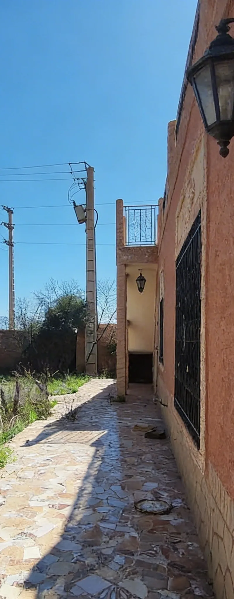 Terrain à vendre sur route de Sidi A Ghiat 5 ha