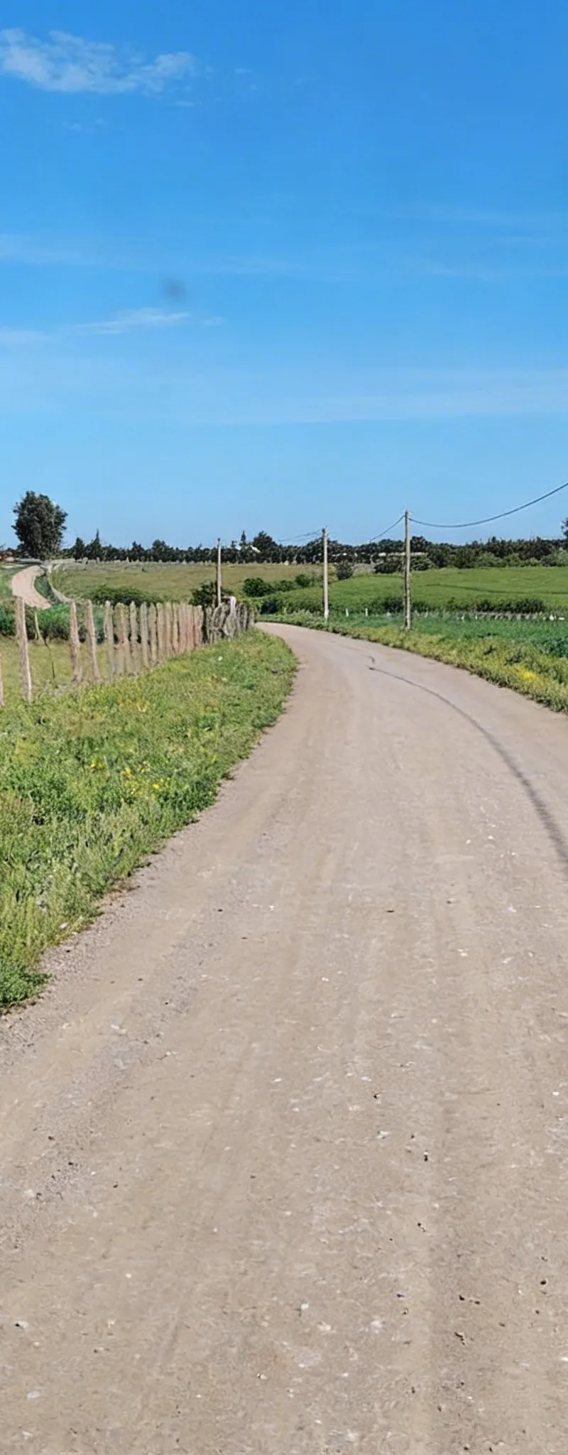 1.4 ha agricole titré à 5 km de Benslimane