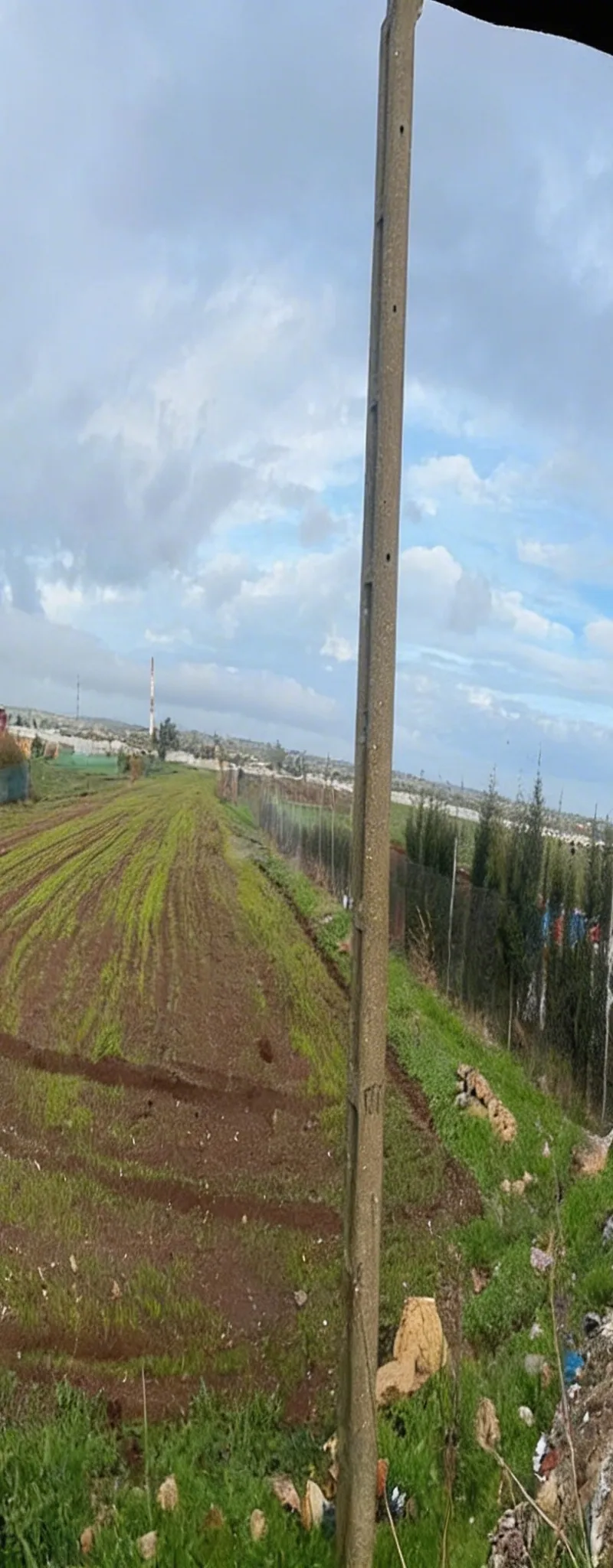 À vendre terrain agricole 10 000 M route al amira