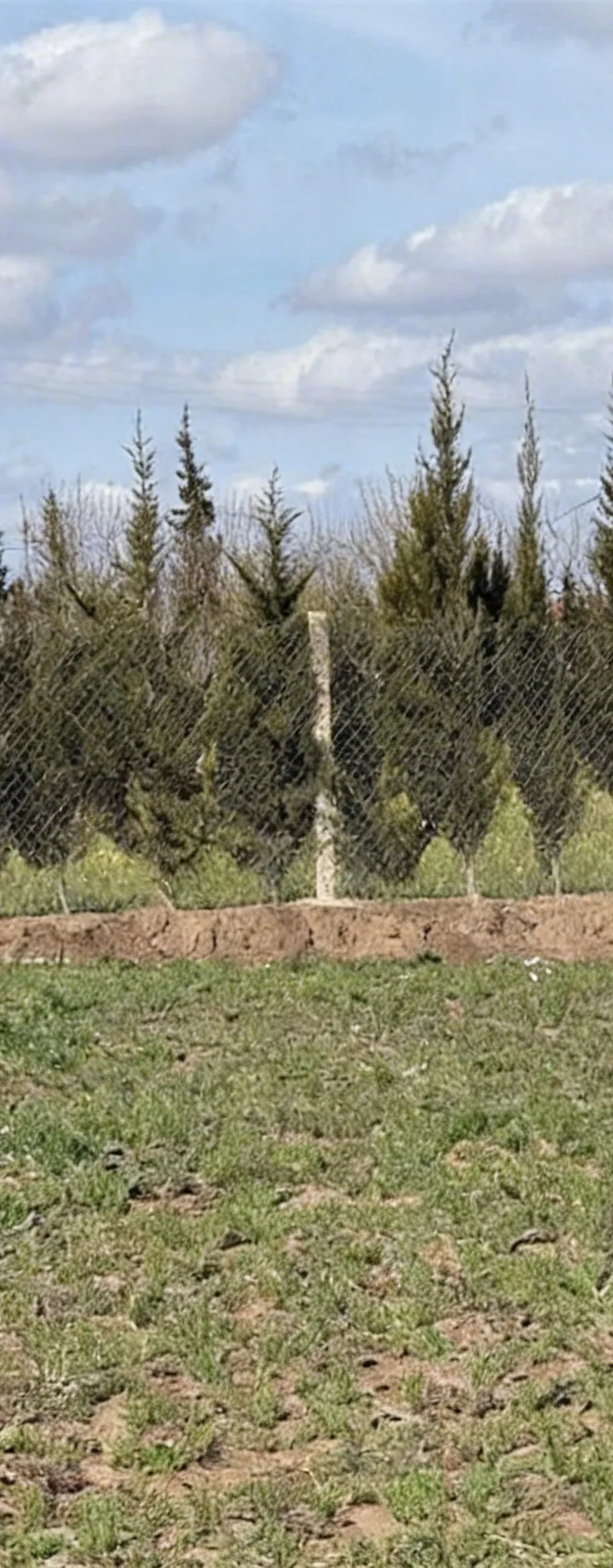 1.56 ha agricole titré à vendre à Benslimane