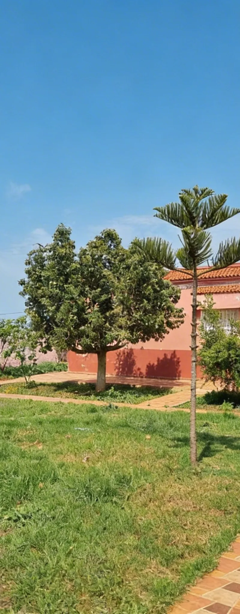 Ferme équipée à vendre – 1,7H – Skhirat