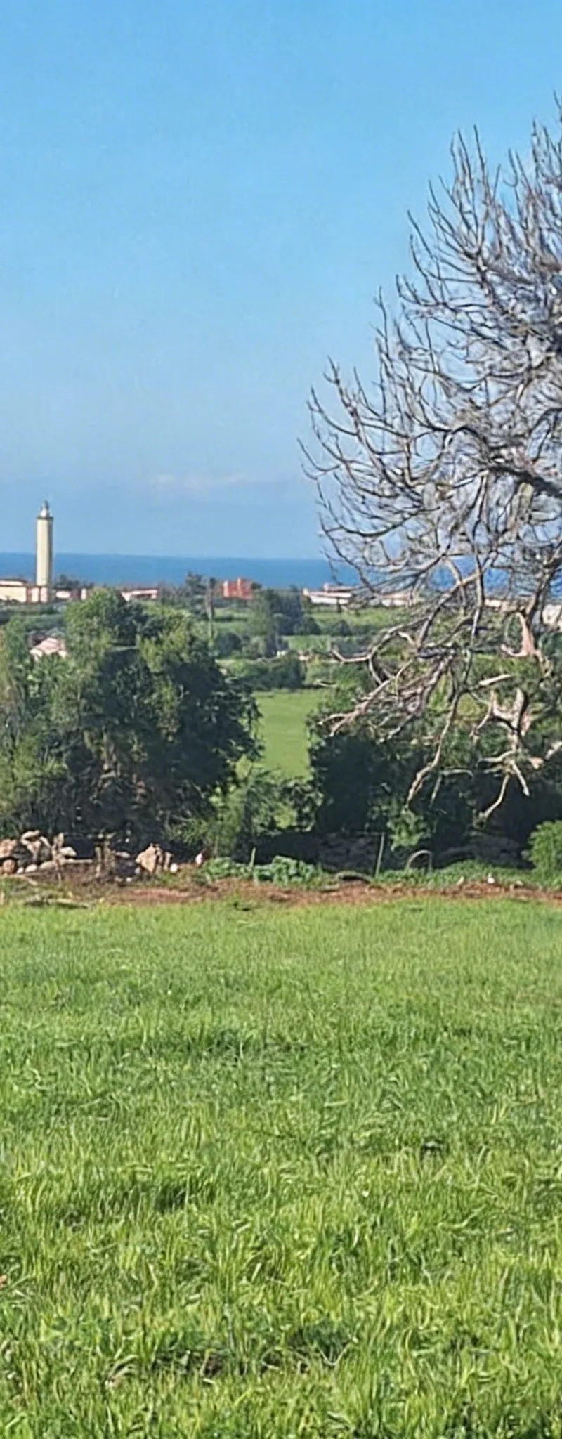 Terrain à vendre 5000 m² titré