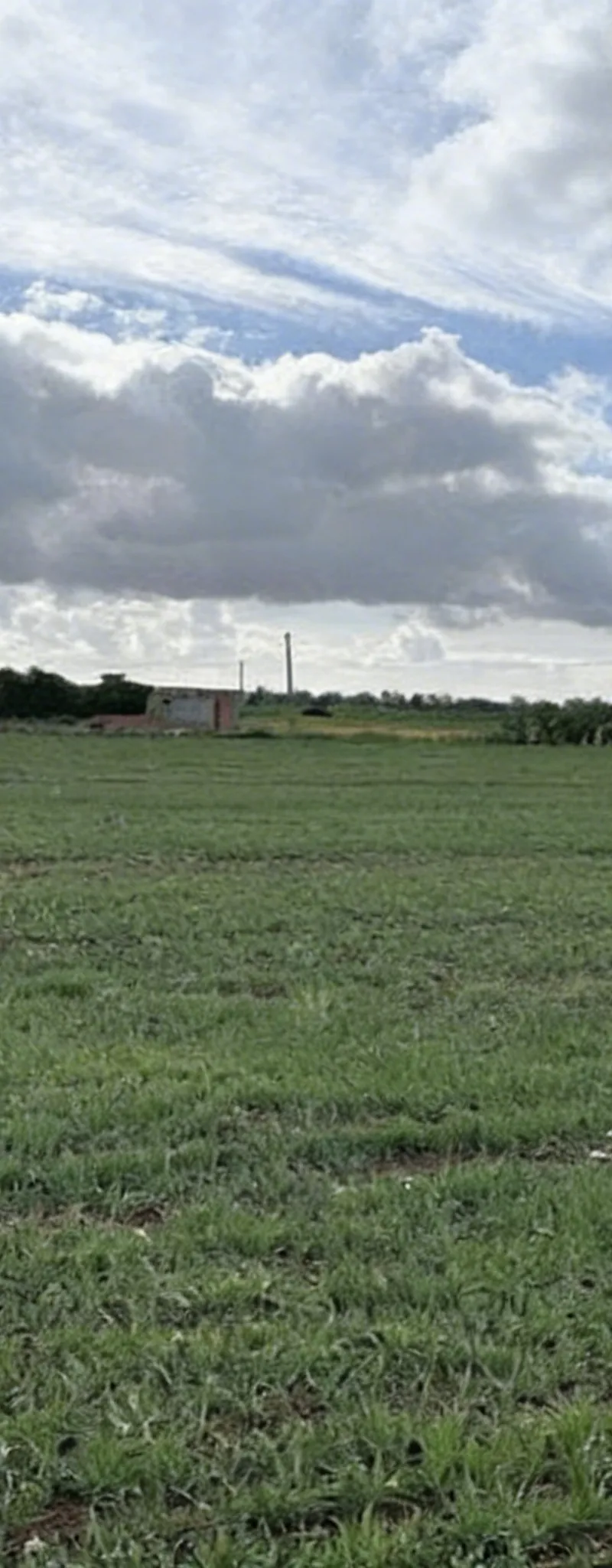 1.92 ha titré à Benslimane Ain Laksab