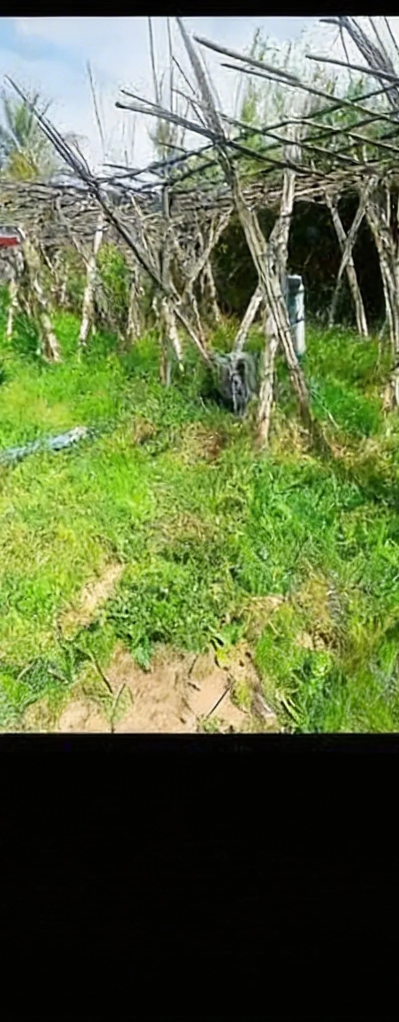 Terrain à vendre superficie hectare et demi