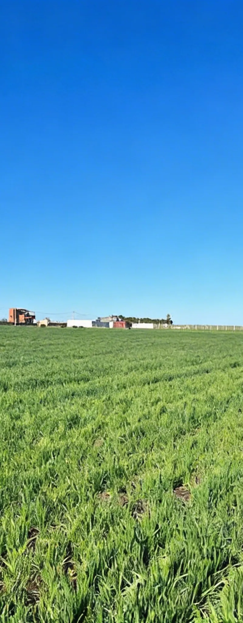3,6 ha titré à Benslimane zyayda