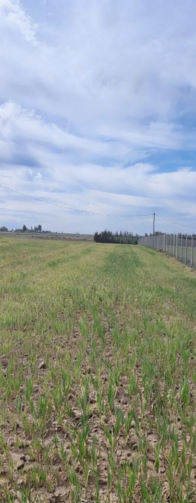 1 ha agricole titrée sur la route à Benslimane