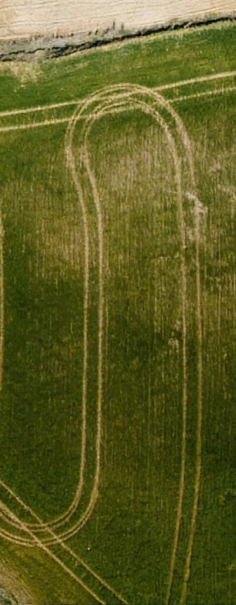 Terrain agricole à vendre – Berrechid
