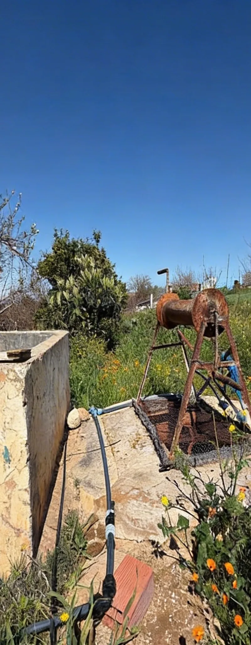 Terrain agricole à vendre près de Meknès – 1 hectare et 1100 m²