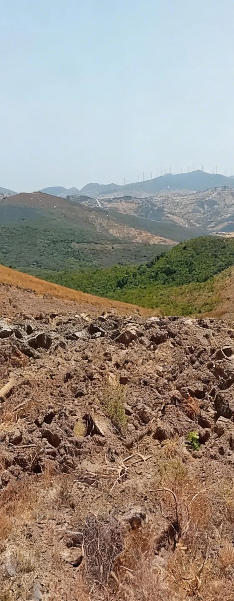 Terrain titré à vendre Melousa