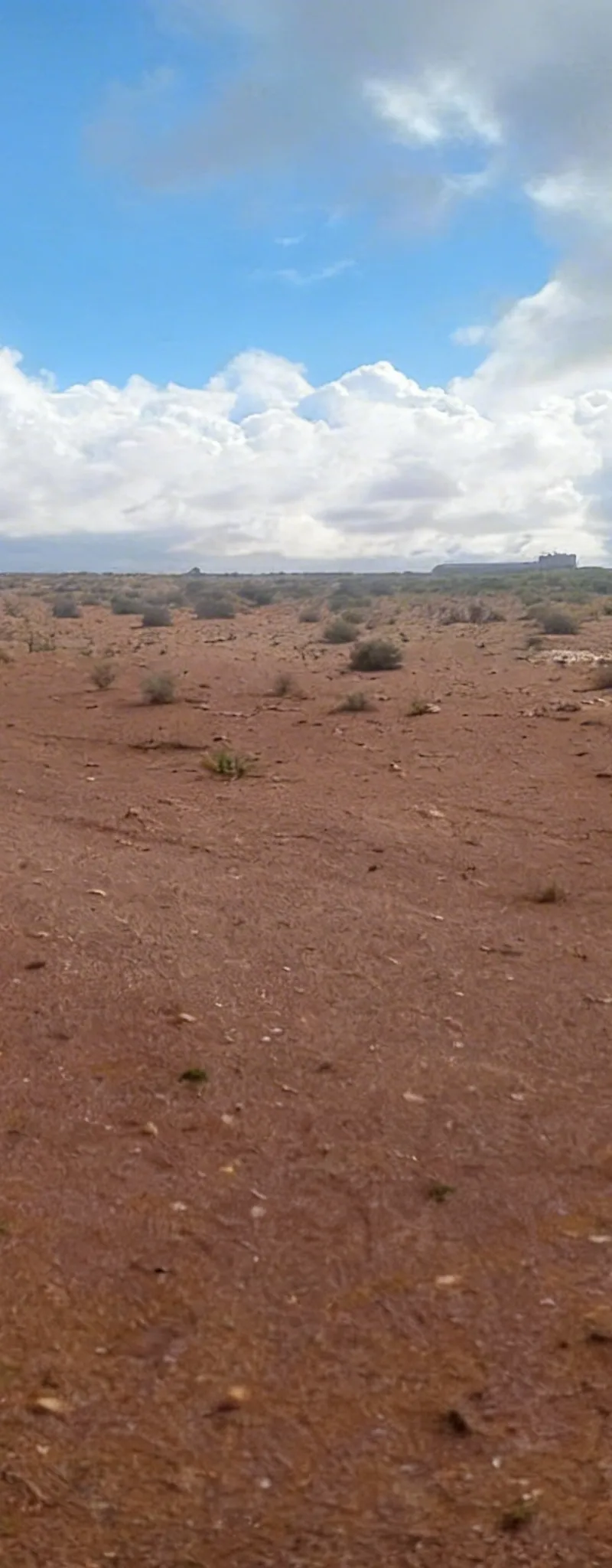 Terrain agricole titré à vendre à Tiznit