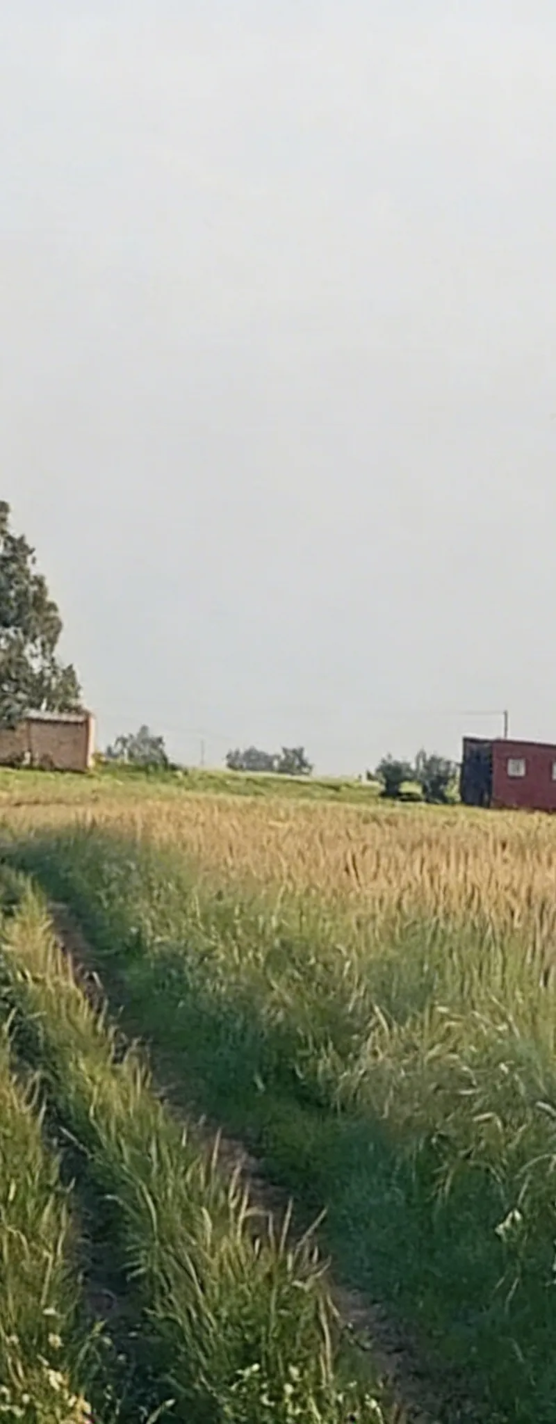 Ferme avec terrain agricole Tither Fonsi 40 hectares
