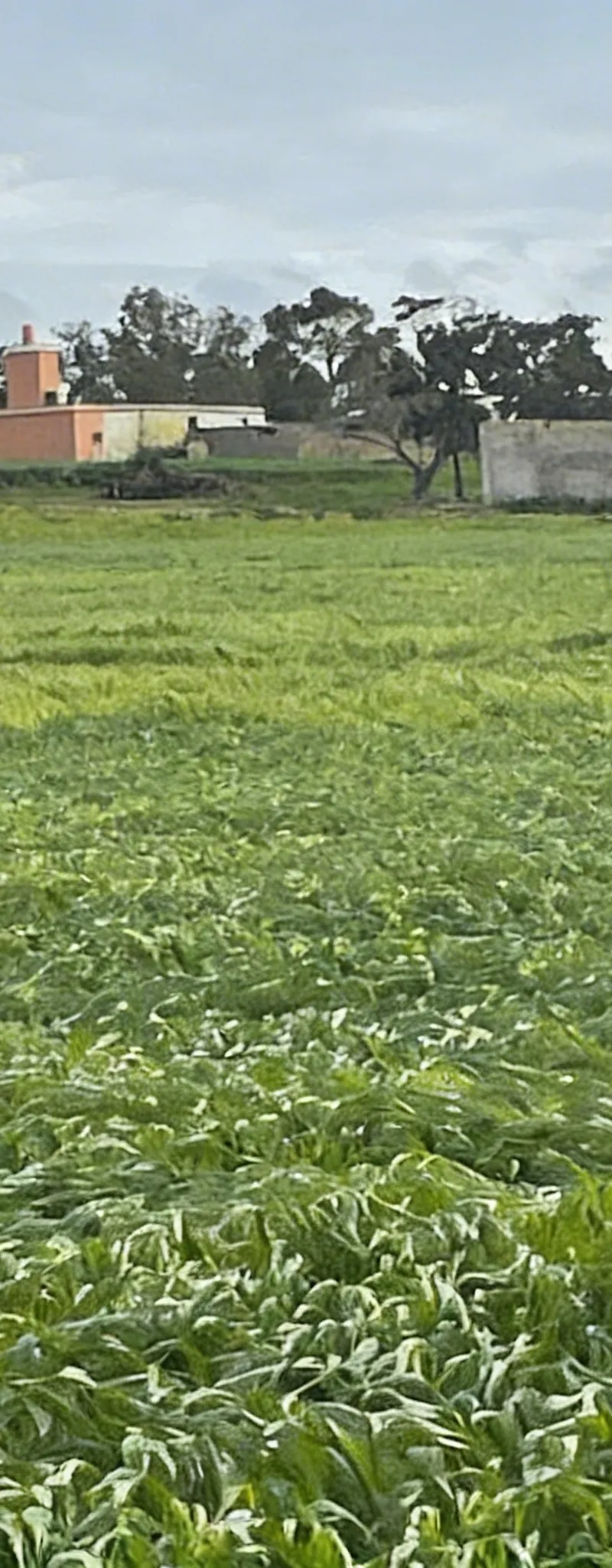 Terrain agricole agricole ferme