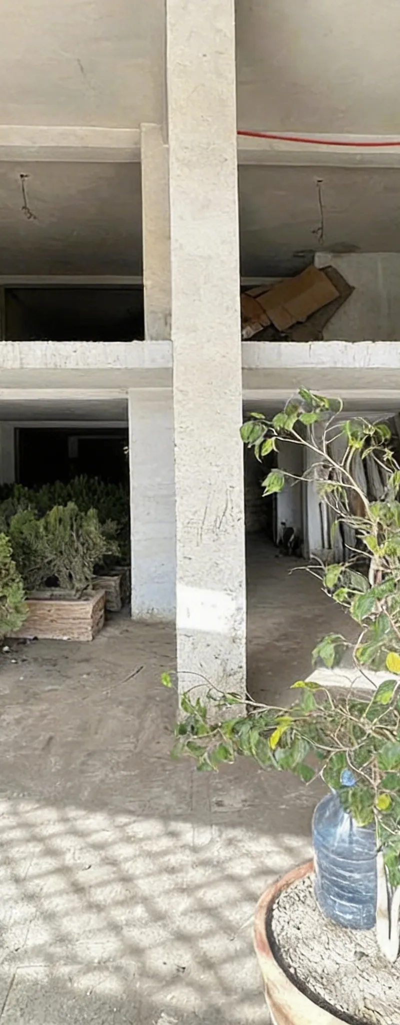 À VENDRE Local Commercial | Blv Moulay Abdellah