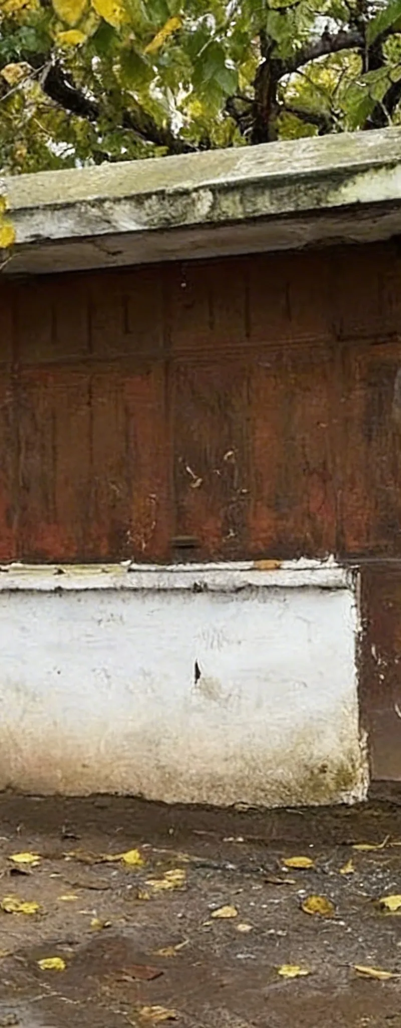 GARAGE COMMERCIAL À VENDRE