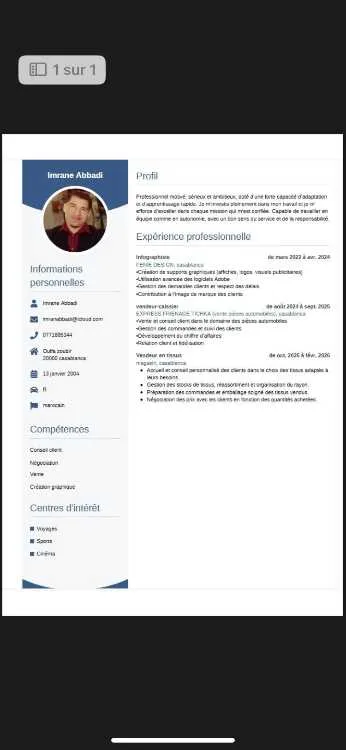 Vendeur ou chauffeur à casablanc - Casablanca