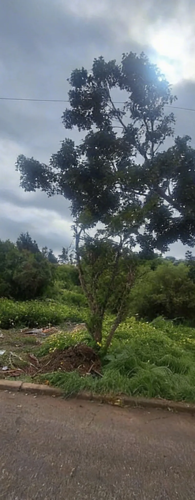 Terrain à vendre – Orangerai Souissi, Rabat