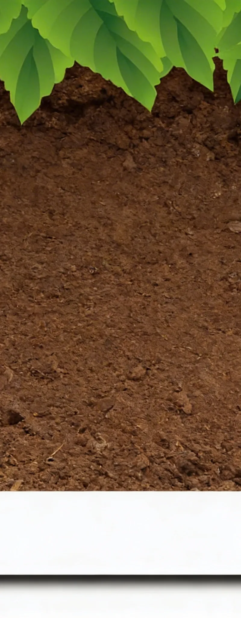 3 Hectares D6 El Manzeh